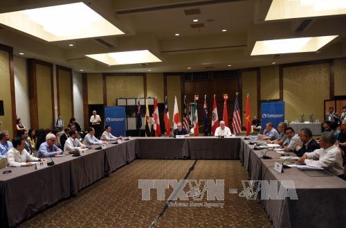 Bắt đầu vòng đàm phán mới về TPP tại Mỹ ảnh 1